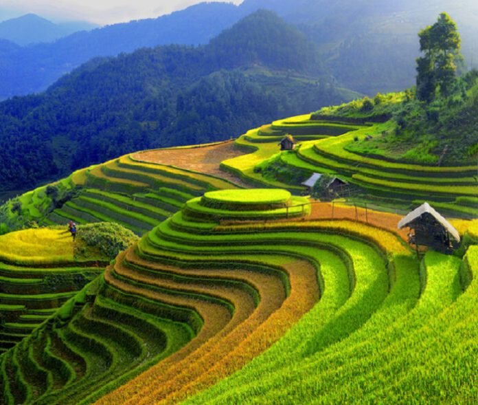 Sapa mountains